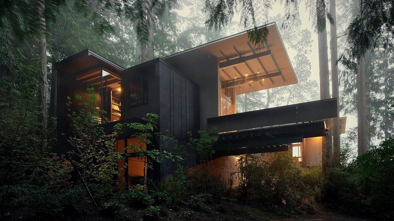 house, architecture, trees, forest, nature, modern