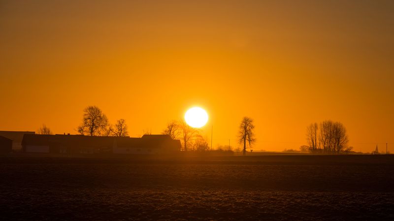 sunrise, sun, dawn, horizon, fog, tree, 4k