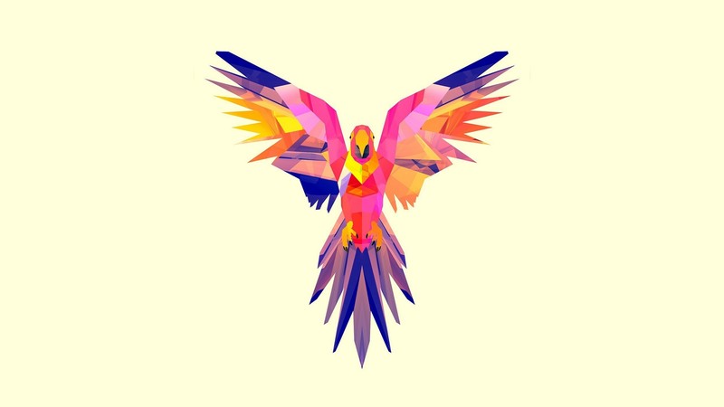 parrot, vector, artwork