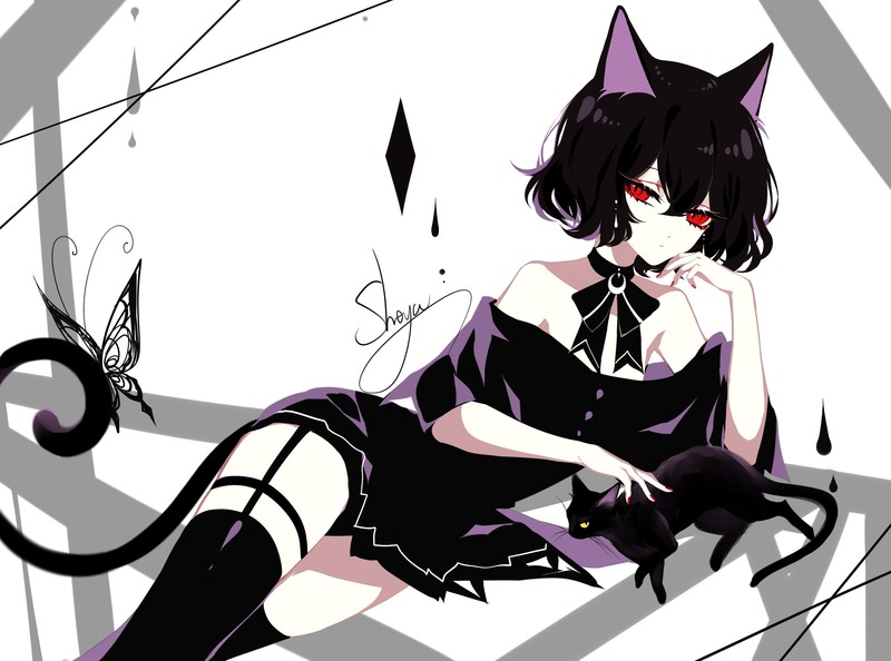 anime, cat girl, butterfly, cats