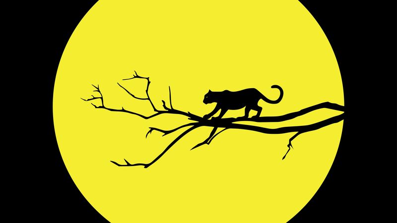 cougar, jaguar, minimalism, vector, black, yellow, 4k