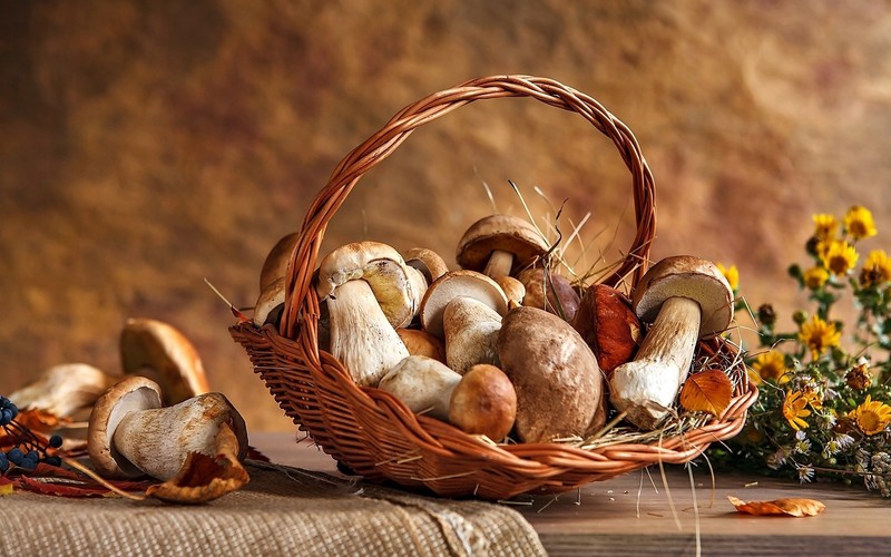 still life, baskets, food, mushroom, flowers, wooden surface, fallen leaves