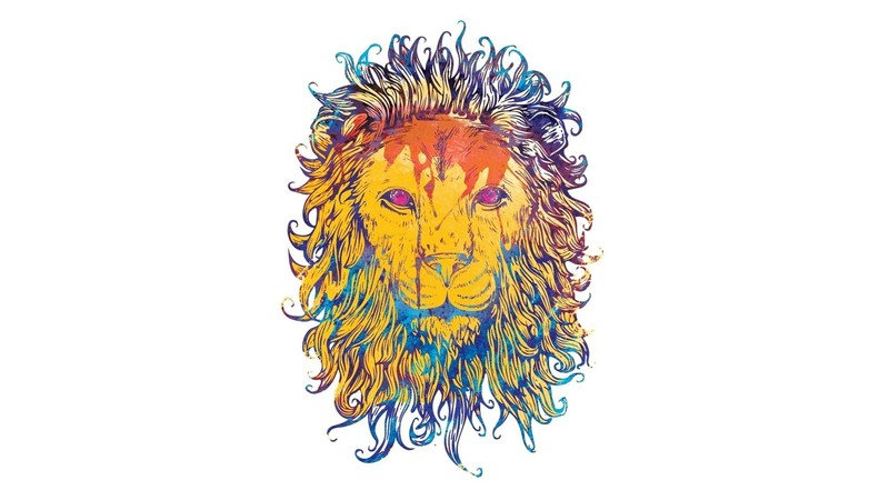 lion, drawing, artwork, animals, frontal view