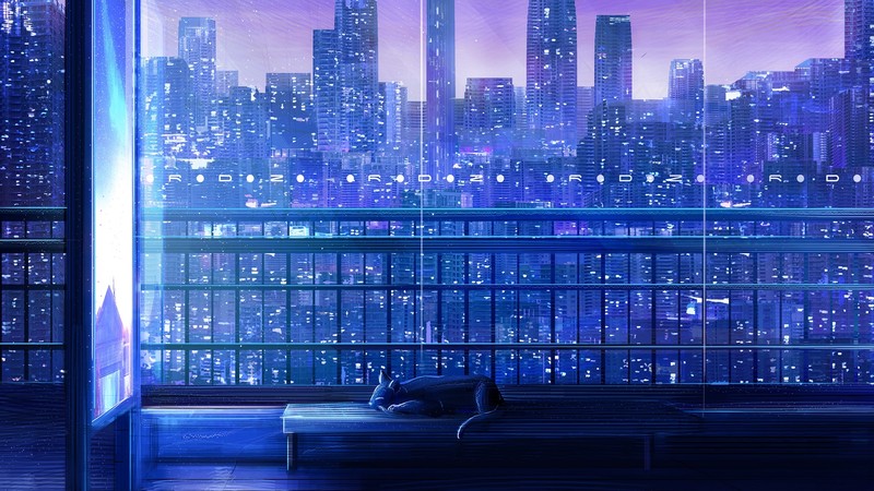 building, lights, night
