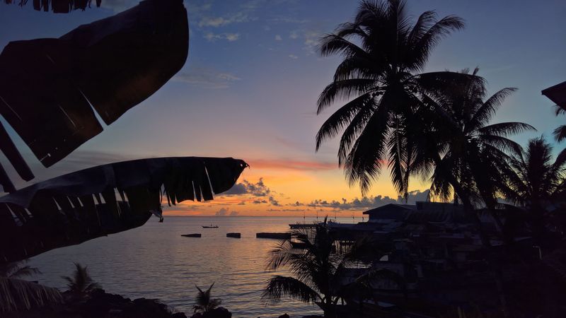 palm trees, sunset, tropics, horizon, ocean, 4k