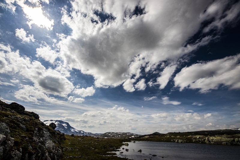 Norway, sognefjellet, landscape