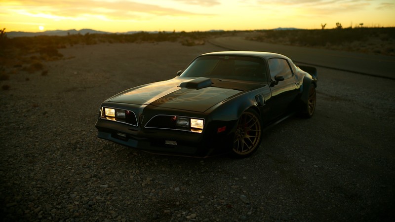 Pontiac, Speedhunters, Trans Am