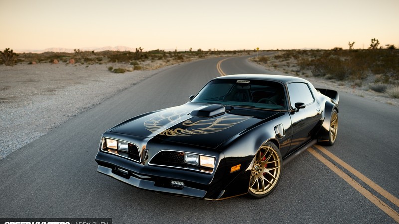 Pontiac, Speedhunters, Trans Am