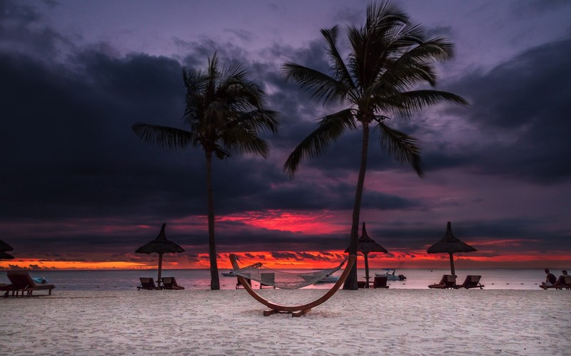nature, landscape, palm trees, beach, sunset, hammocks