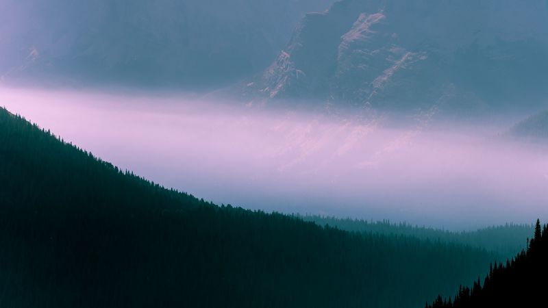 mountains, fog, sky, outlines, trees, forest, 4k