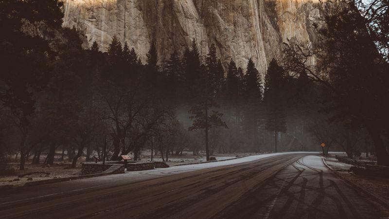 mountain, road, fog, trees, turn, 4k