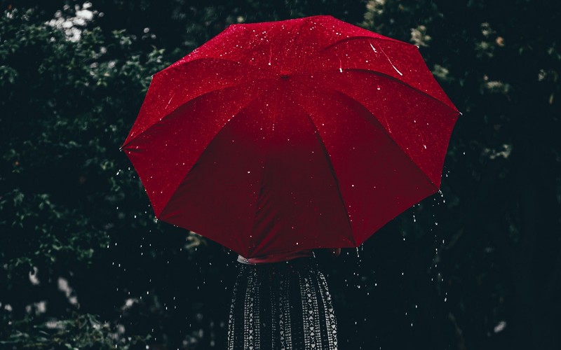 nature, rain, umbrella, red, water drops