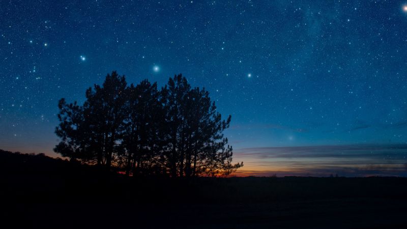 starry sky, night, trees, stars, landscape, 4k