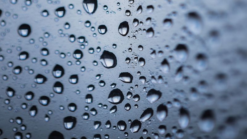 drops, moisture, blur, macro, liquid, 4k