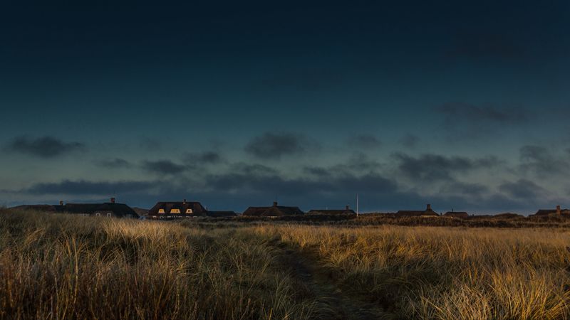 field, houses, path, grass, sunset, twilight, denmark, 4k