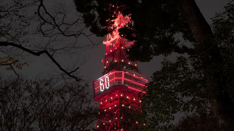 tower, backlight, night, branches, tokyo, japan, 4k