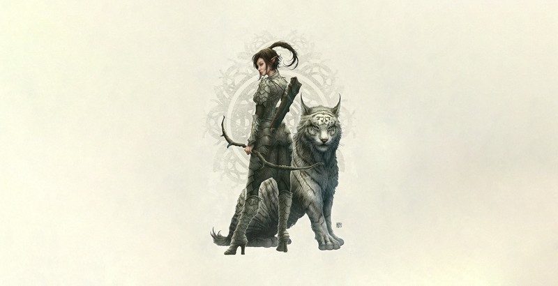 cats, big cats, creature, simple background, white background, fantasy art, archer, fantasy girl, artwork, pointy ears, Kerem Beyit