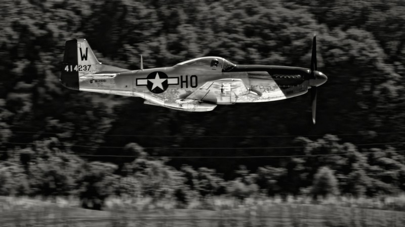 aircraft, North American P-51 Mustang, monochrome
