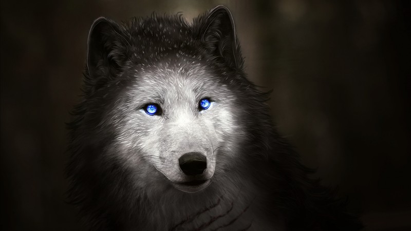 wolf, white, animals, blue eyes, digital art