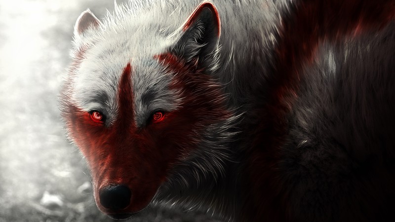 wolf, white, animals, artwork, red eyes, creature