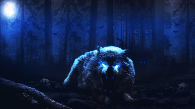 wolf, fantasy art, dark, Moon, glowing eyes, animals, artwork, mammals, creature, blue