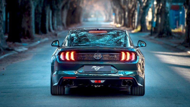 car, Ford Mustang, vehicle, Ford Mustang Bullitt 2019, bullitt, turquoise