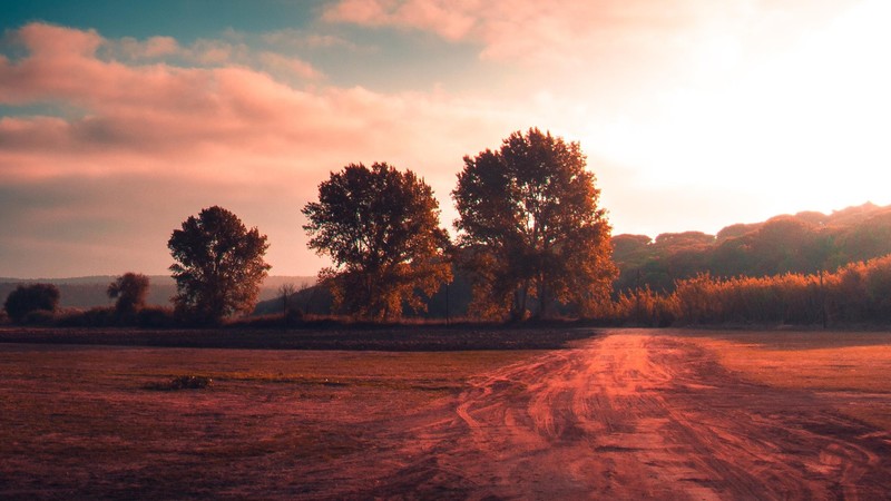 summer, trees, nature, road, sky, clouds, landscape, bright, Portugal