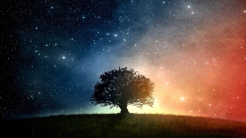 oak, stars, digital art, trees, sky, landscape