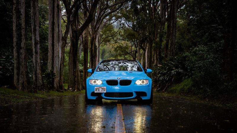 bmw 5, bmw, front view, car, blue, forest, road, rain, 4k