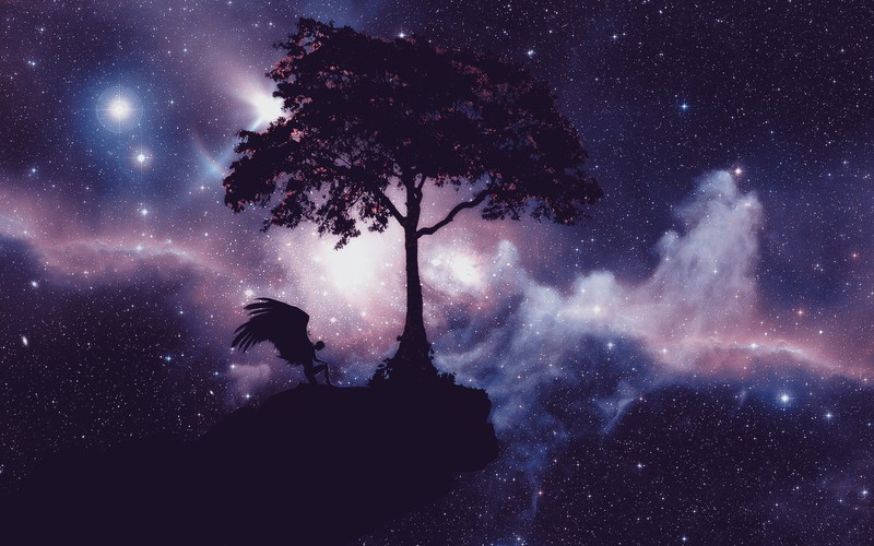 universe, stars, nebula, dark, wings, galaxy