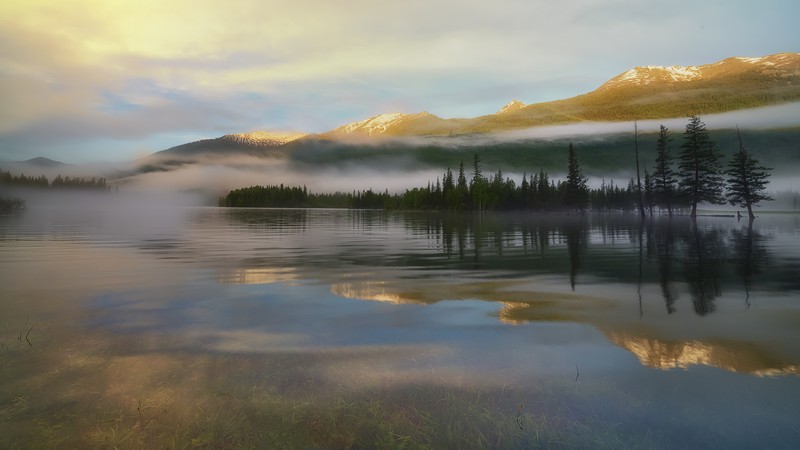 nature, water, trees, reflection, outdoors
