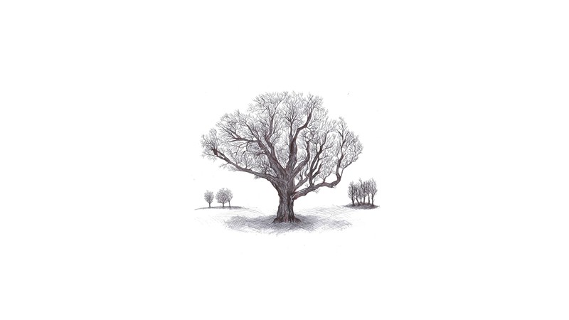 ink, tree stump, artwork, white background, simple background, simple, drawing, shadow, pencil drawing, leaves, branch, monochrome