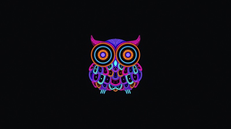 owl, minimalism, artwork, simple background, animals