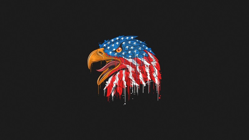 animals, eagle, birds, American flag, artwork, minimalism, freedom