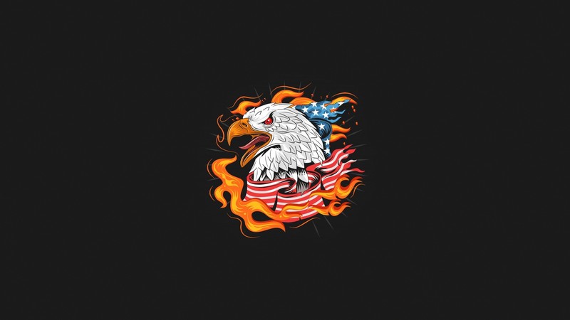 USA, eagle, birds, animals, simple background, artwork