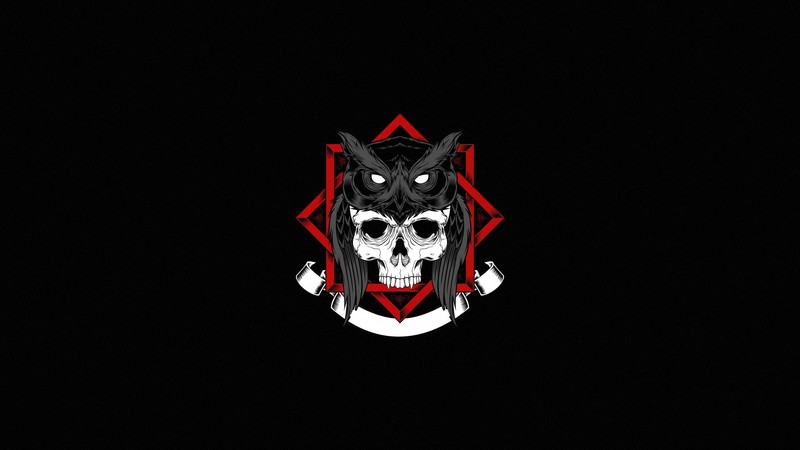 artwork, skull, minimalism, simple background