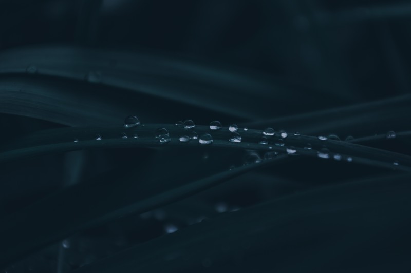 water drops, dark, emotion, leaves, storm, rain
