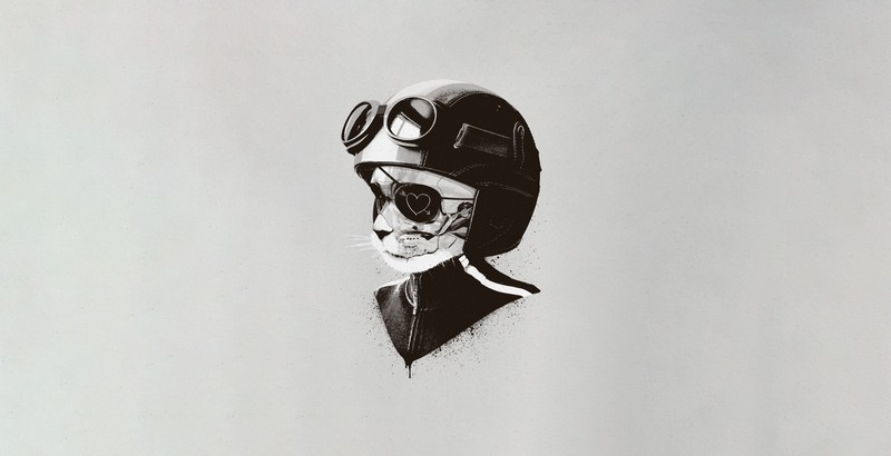 cats, animals, artwork, eyepatches, simple background, helmet
