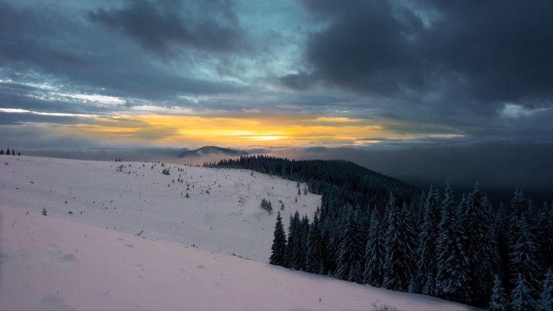 winter, mountains, forest, snow, sunset, sky, clouds, snowy, 4k
