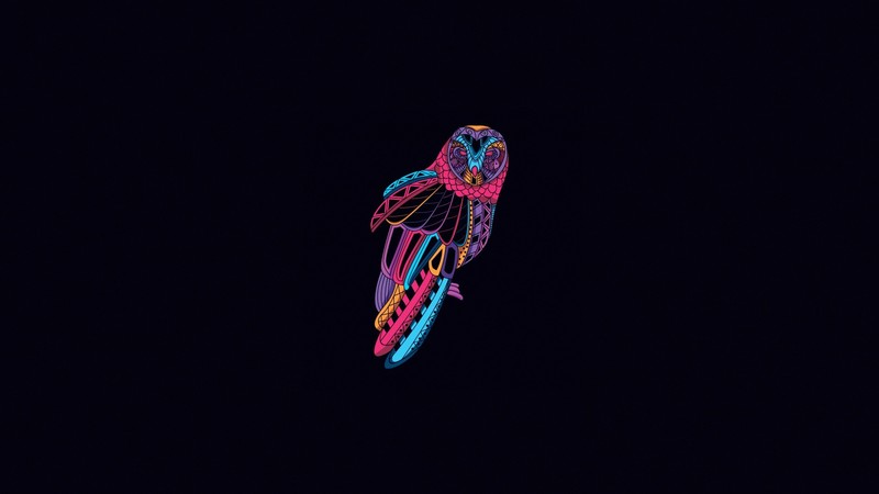 birds, owl, animals, minimalism, artwork, simple background