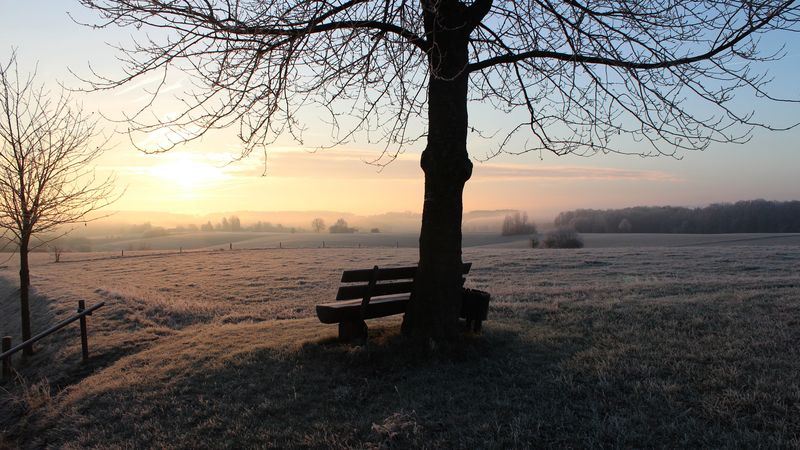 bench, dawn, frost, winter, solitude, silence, 4k