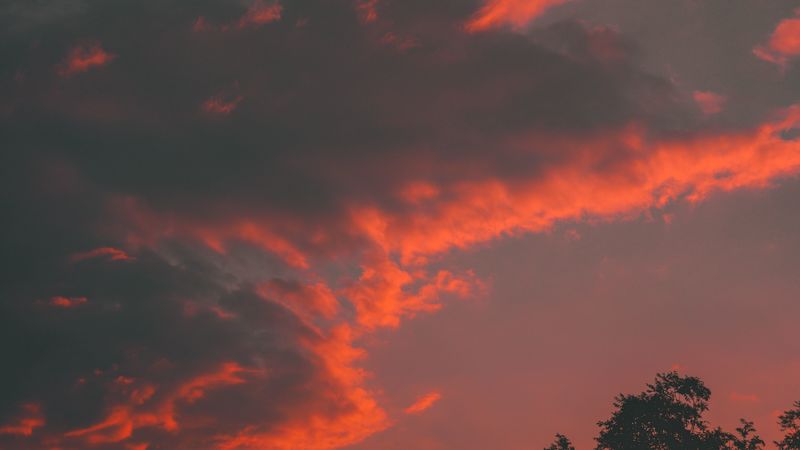 clouds, tree, sky, sunset, orange, 4k