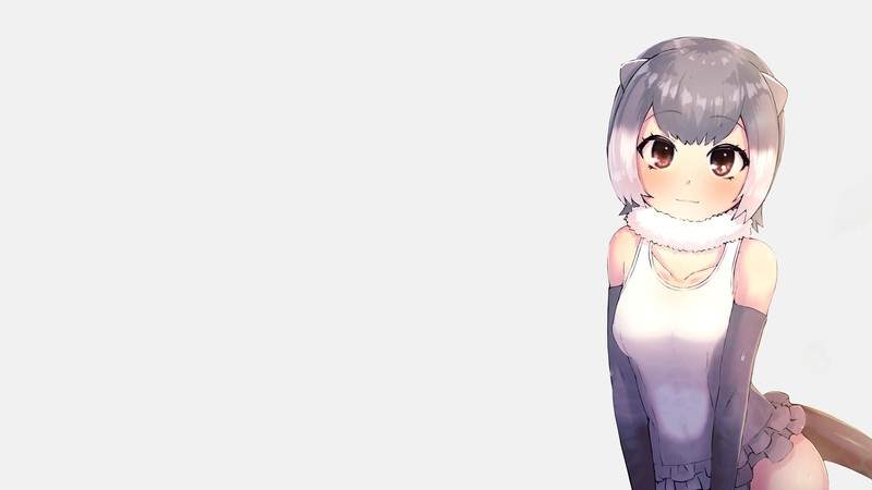 anime, Kemono Friends, anime girls, animal ears, otters, simple background, tail, brown eyes