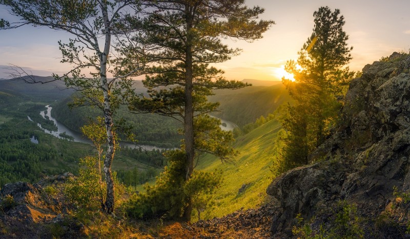 nature, trees, outdoors, landscape, Golden Hour