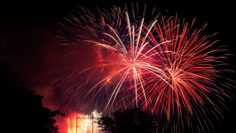 fireworks, sparks, tree, black, 4k