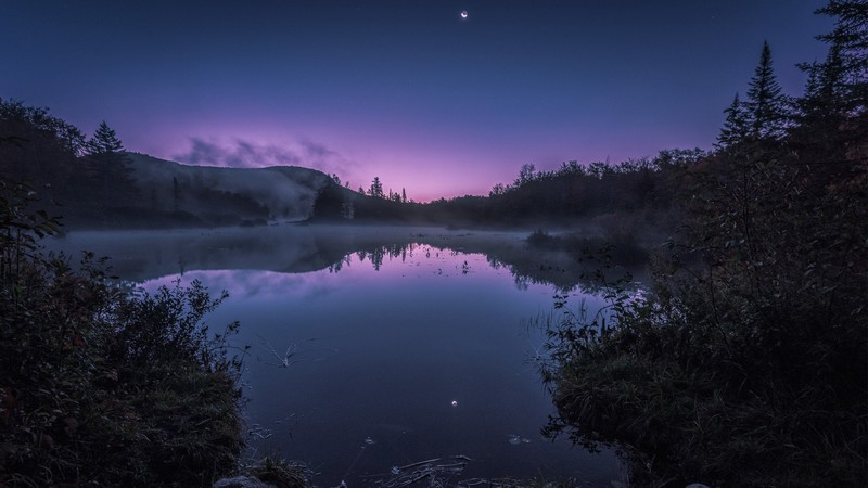 lake, mist, sky, night, nature, river, water, trees, moonlight, Moon