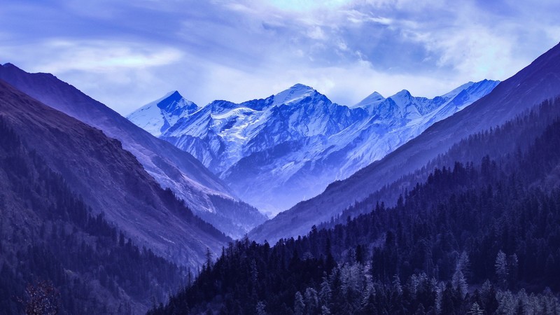 nature, landscape, mountains, trees, forest, snow, snowy mountain, blue, color correction