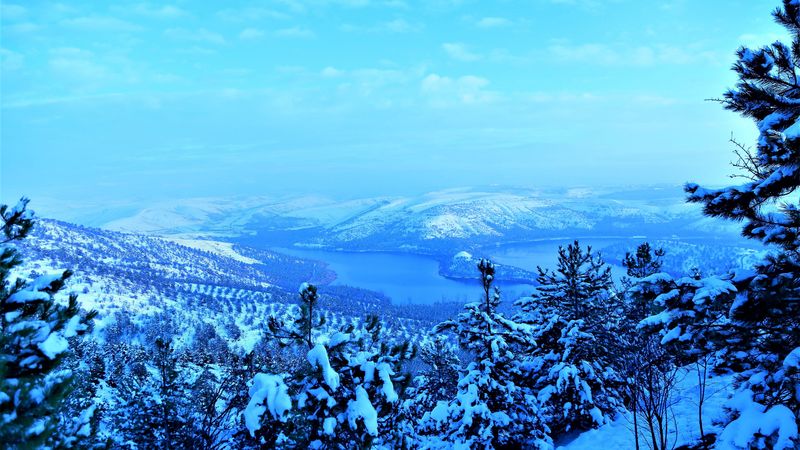 mountains, snow, trees, winter, aerial view, 4k