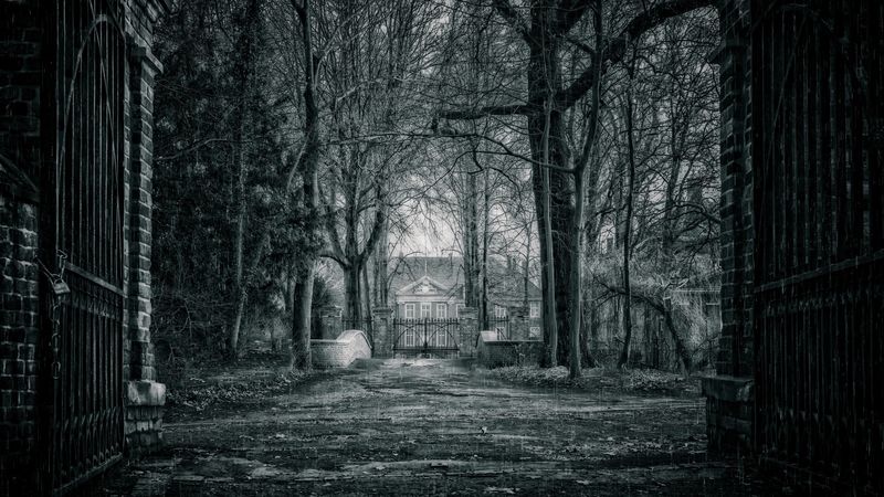 house, bw, rain, branches, fence, gate, mysterious, mystical, 4k