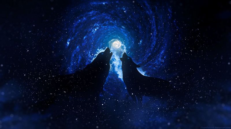 wolves, silhouettes, starry sky, art, fantasy, 4k